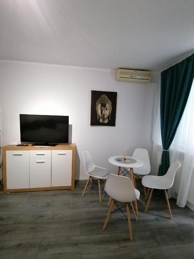 Bega Circumvalatiunii 1 Room Apartment Τιμισοάρα Εξωτερικό φωτογραφία