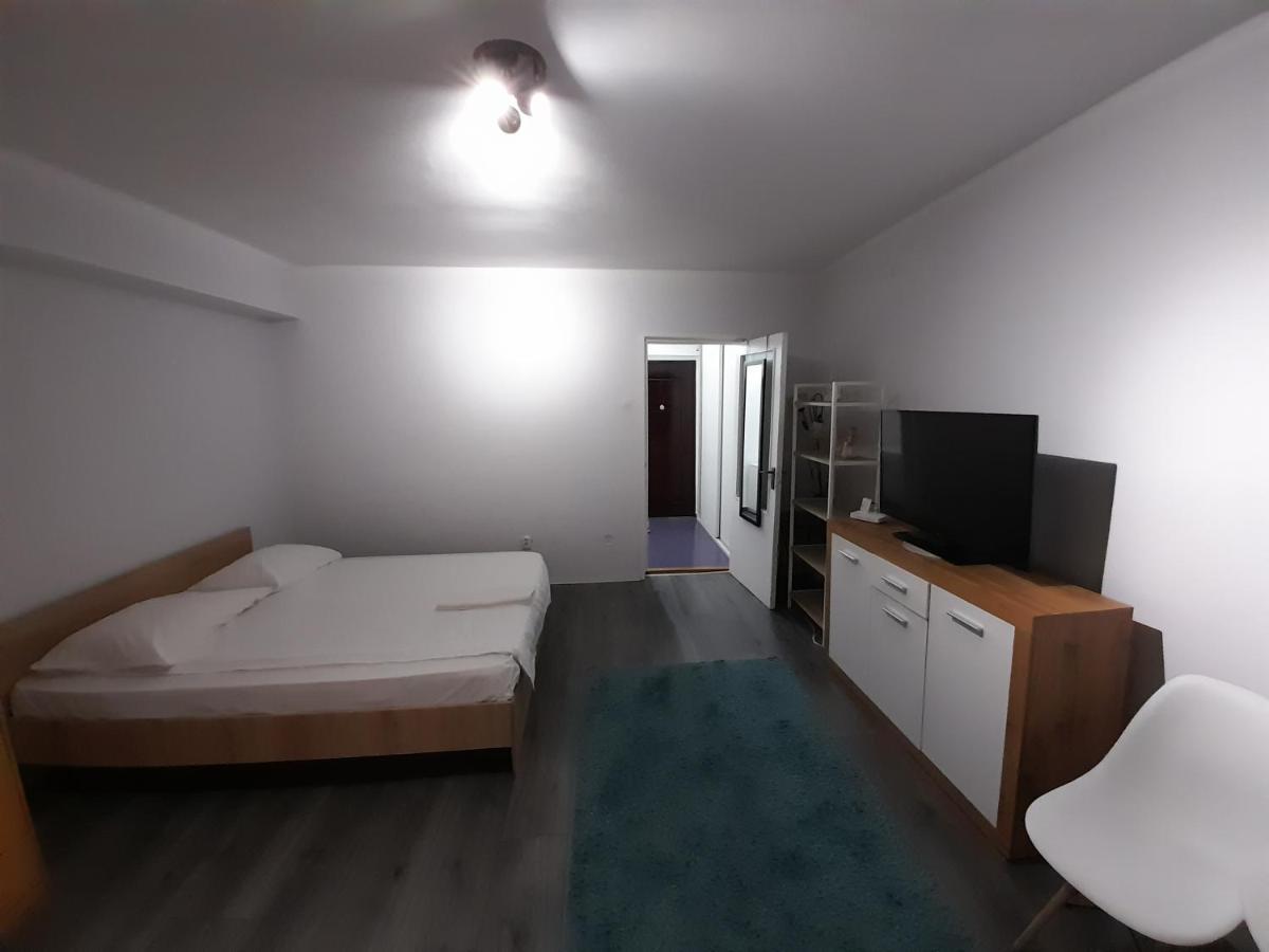 Bega Circumvalatiunii 1 Room Apartment Τιμισοάρα Εξωτερικό φωτογραφία